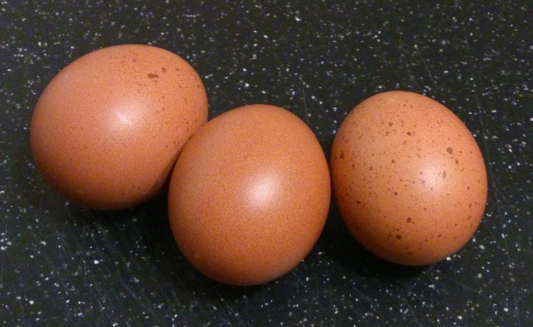File:Eggs blue marans.jpg