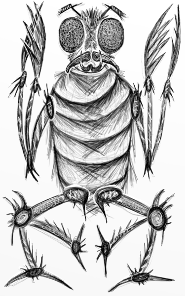 File:Insect-monster.png